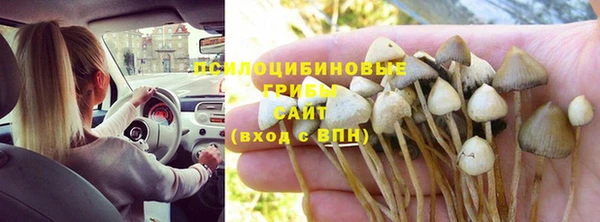 а пвп мука Анжеро-Судженск
