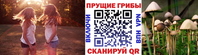 закладки  Миньяр  ОМГ ОМГ   Галлюциногенные грибы MAGIC MUSHROOMS 